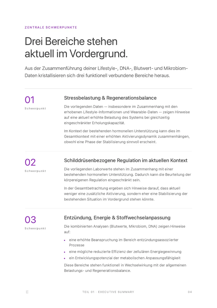 EVER Precision Report, deine Schwerpunkte